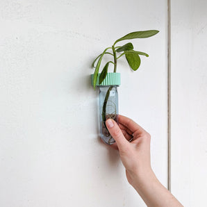 roota: magnet for plants ♻️